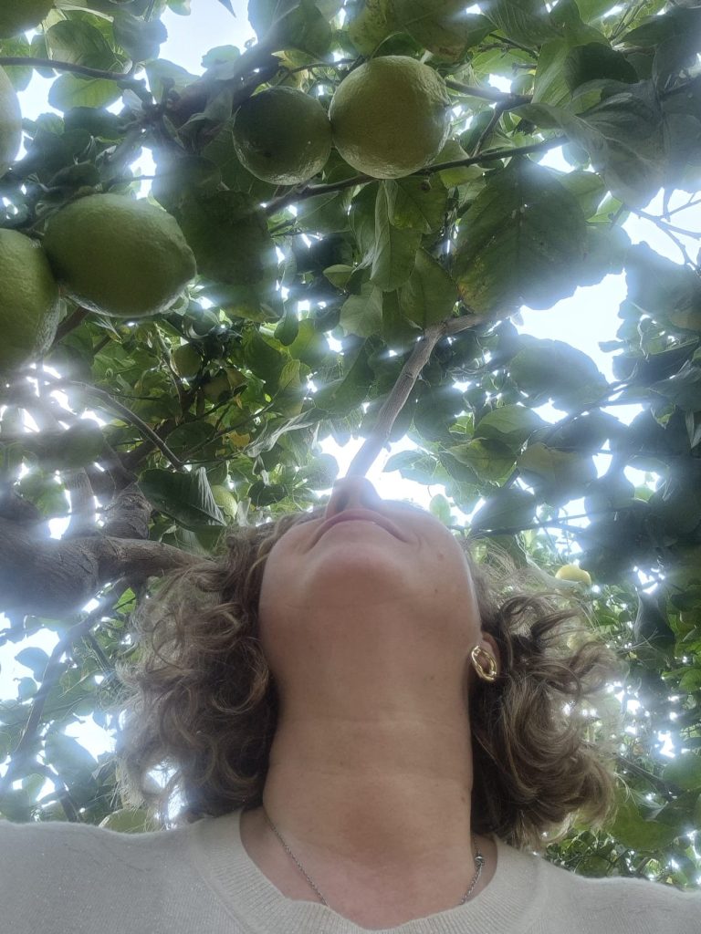 Cultiva tu Ser, florece tu año🌸